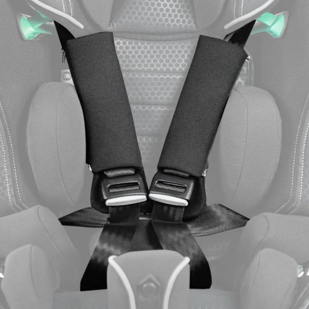 5-point harness